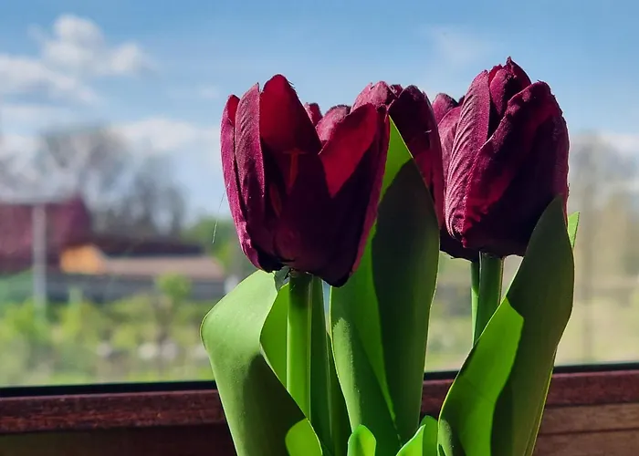 Apartman 1br Bright 300mbps Wifi Duplex - Two Floors