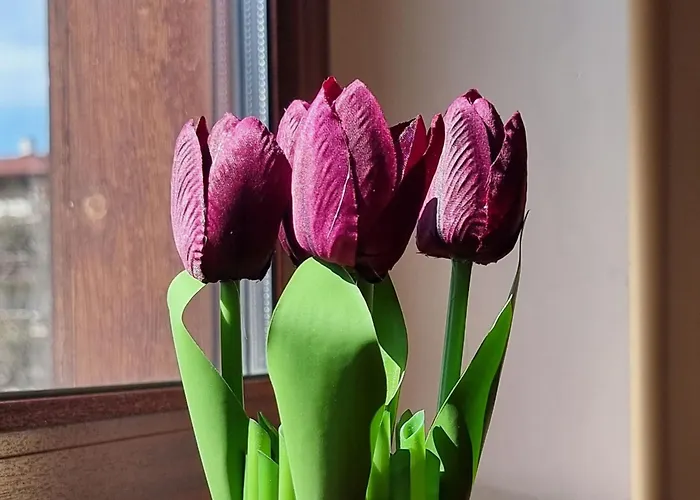 1br Bright 300mbps Wifi Duplex - Two Floors Apartman *