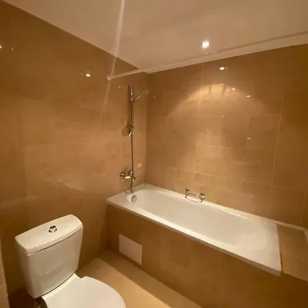 公寓 1br Bright 300mbps Wifi Duplex - Two Floors 班斯科