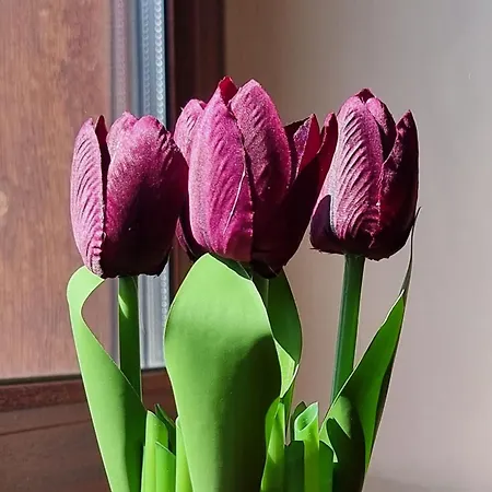 1br Bright 300mbps Wifi Duplex - Two Floors Апартаменти *